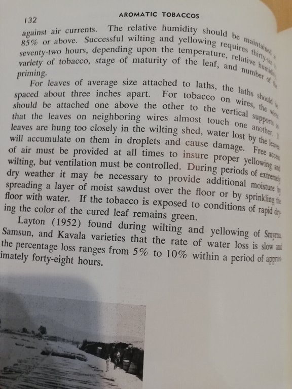 Aromatic or oriental tobaccos, Frederick A. Wolf, 1962, in inglese