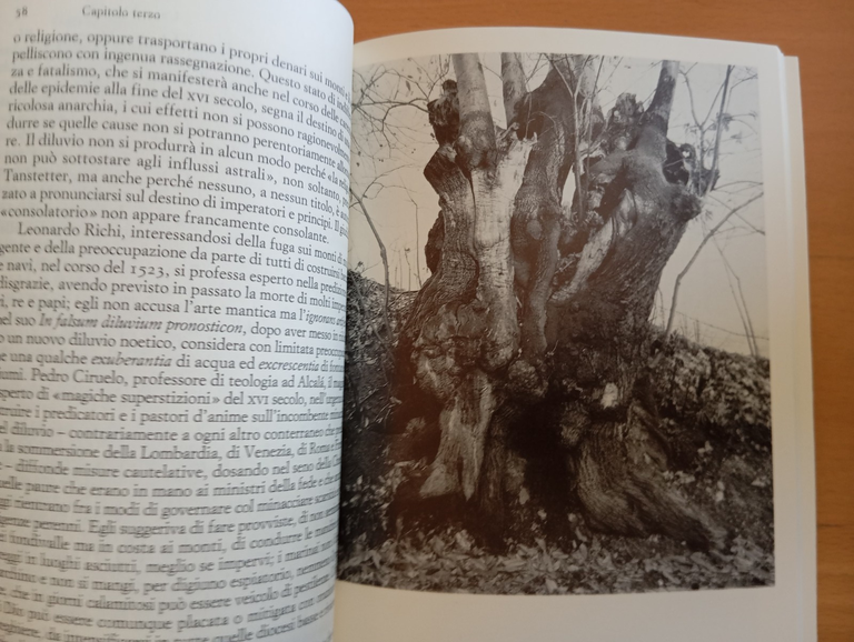 Arte della meraviglia, Manlio Brusatin, Einaudi, 1986 | Immagine Gallery 14