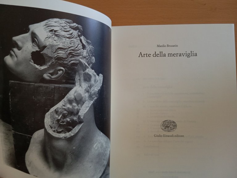 Arte della meraviglia, Manlio Brusatin, Einaudi, 1986 | Immagine Gallery 9