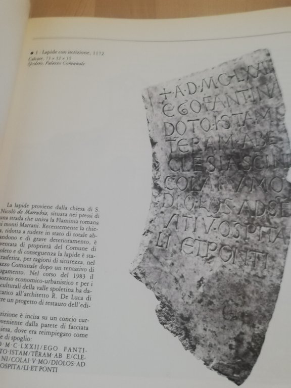 Arte in Valnerina e nello spoletino, multigrafica, 1983 | Immagine Gallery 14