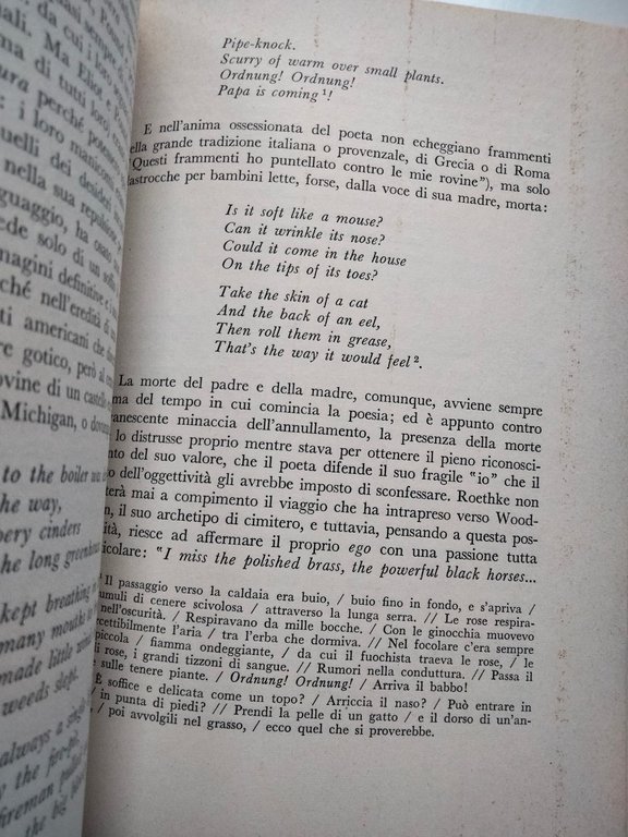 Aspettando la fine, Leslie A. Fielder, Rizzoli, 1966