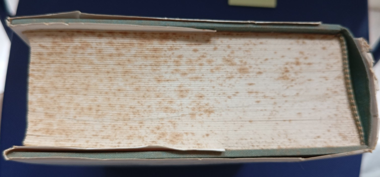 Aspetti della cultura cattolica nell'età di Leone XIII, Giuseppe Rossini, …