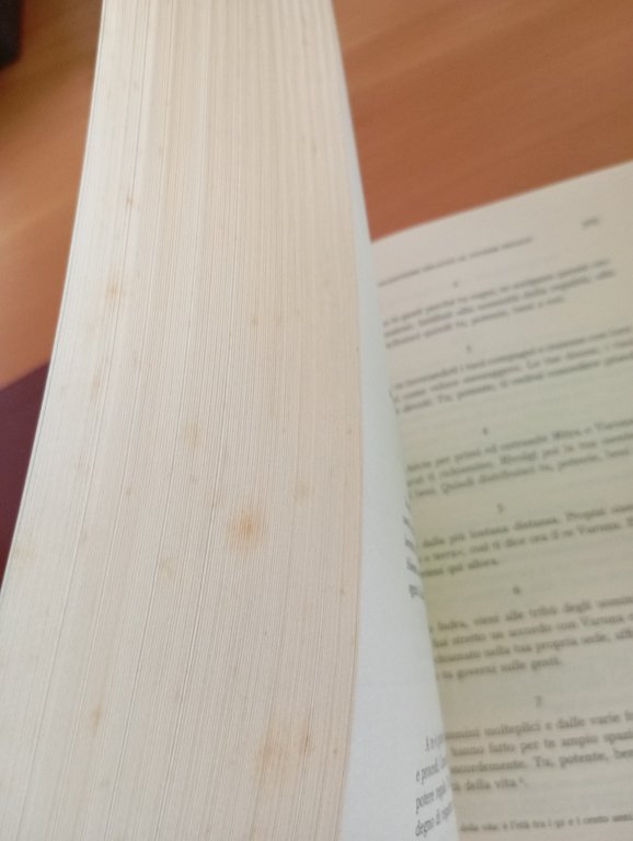 Atharvaveda, Inni magici, Orlandi - Sani, UTET, 1992 | Immagine Gallery 10