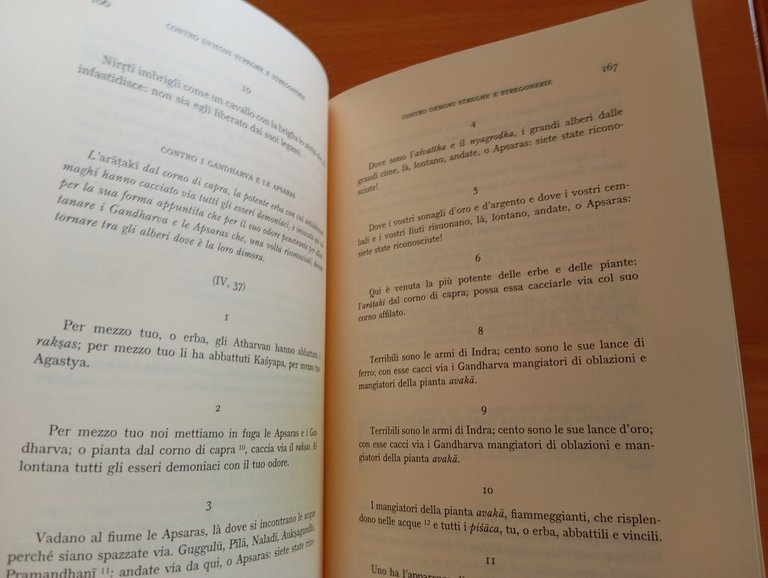 Atharvaveda, Inni magici, Orlandi - Sani, UTET, 1992 | Immagine Gallery 9