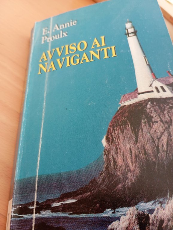 Avviso ai naviganti, E. Annie Proulx, Baldini e Castoldi, 1998 | Immagine Gallery 11