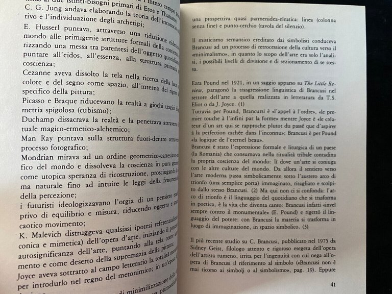 Babilonia in fiamme, Carmine Benincasa, Elettra editrice, 1978