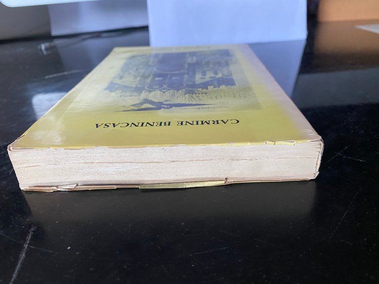 Babilonia in fiamme, Carmine Benincasa, Elettra editrice, 1978 | Immagine Gallery 4