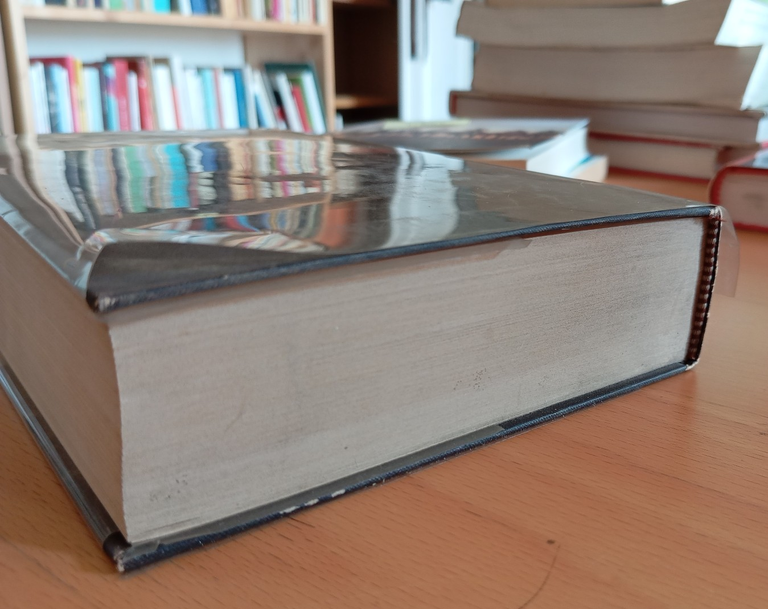 Berlin Alexanderplatz, Alfred Doblin, Rizzoli, 1963, prima edizione | Immagine Gallery 7