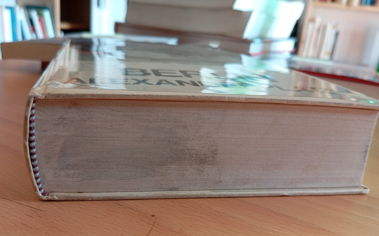 Berlin Alexanderplatz, Alfred Doblin, Rizzoli, 1963, prima edizione | Immagine Gallery 8