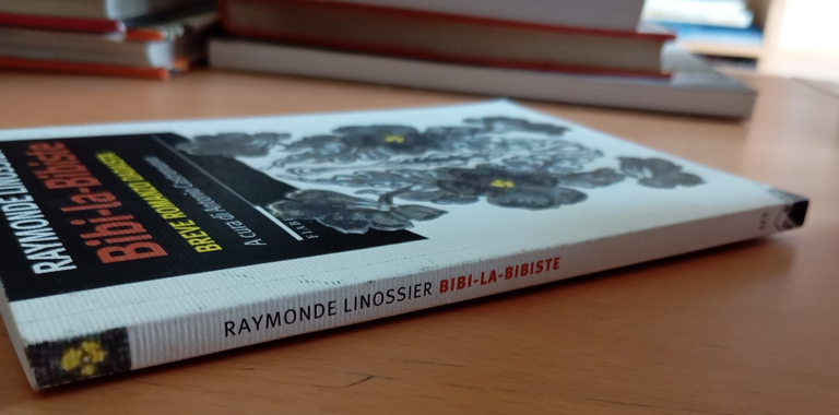 Bibi-la-Bibiste. Breve romanzo dadaista, Raymonde Linossier, 2015 | Immagine Gallery 2