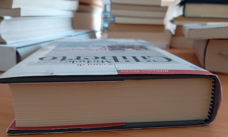 Biblioteca laica. Il pensiero libero dell'Italia moderna, Michele Ciliberto 2008 | Immagine Gallery 3