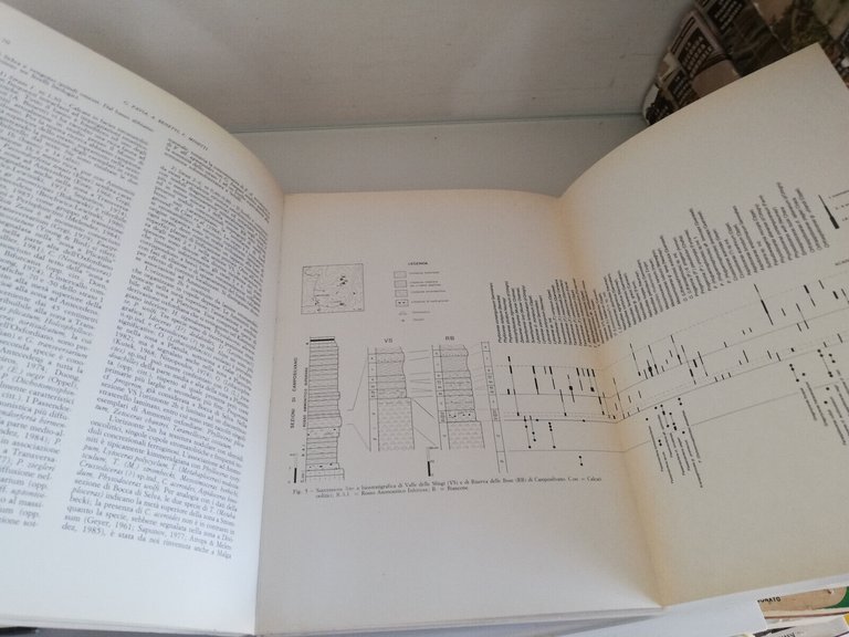 Bollettino della Società Paleontologica Italiana, vol. 26, 1987, Mucchi