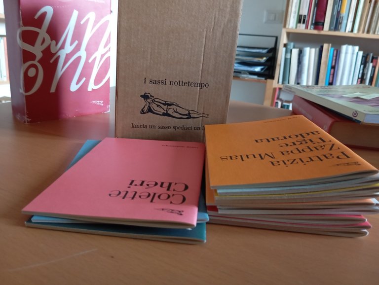 Box 13 libri Nottetempo, Agamben, Negri, Bettin, Zizek, Morante Mulas, … | Immagine Gallery 10