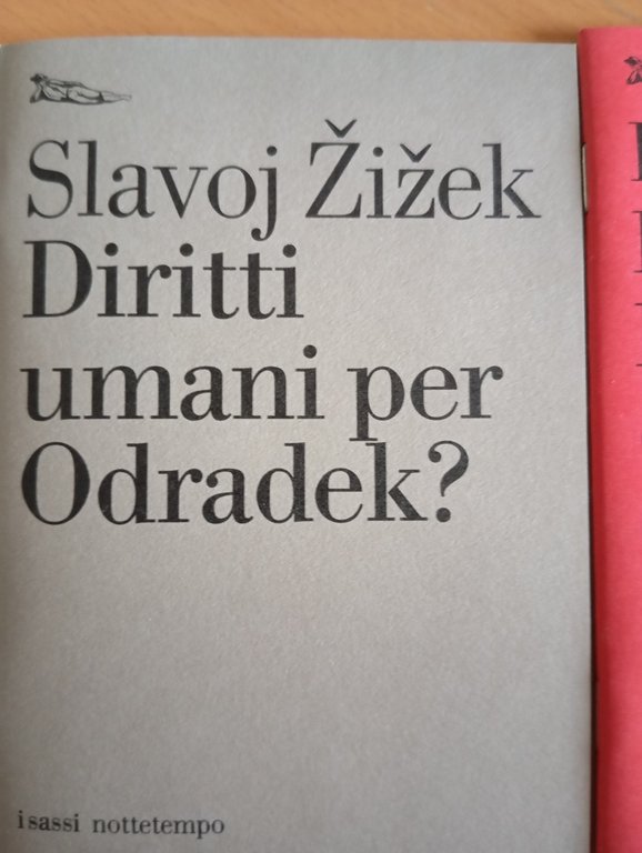 Box 13 libri Nottetempo, Agamben, Negri, Bettin, Zizek, Morante Mulas, … | Immagine Gallery 13
