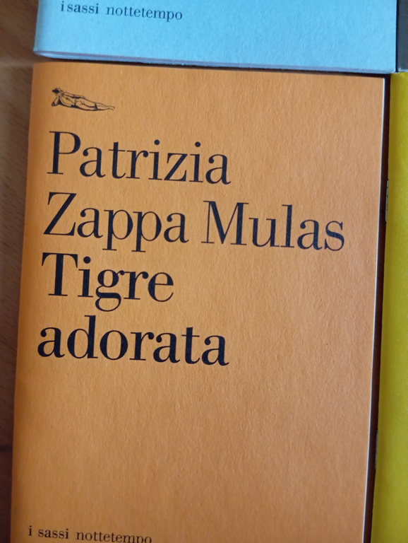 Box 13 libri Nottetempo, Agamben, Negri, Bettin, Zizek, Morante Mulas, … | Immagine Gallery 17