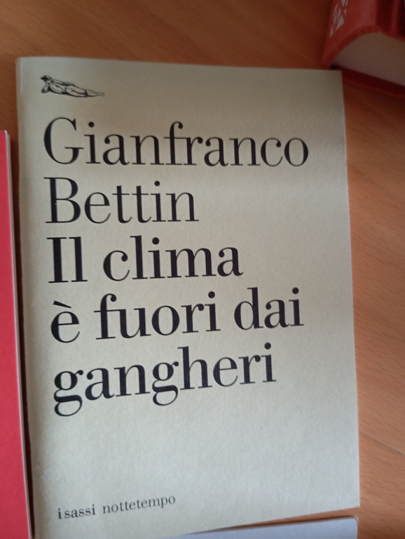 Box 13 libri Nottetempo, Agamben, Negri, Bettin, Zizek, Morante Mulas, … | Immagine Gallery 18