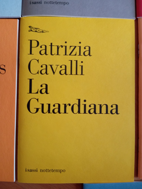 Box 13 libri Nottetempo, Agamben, Negri, Bettin, Zizek, Morante Mulas, … | Immagine Gallery 20