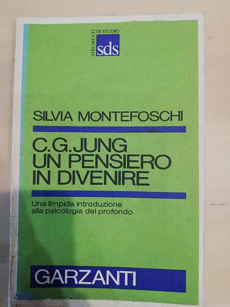 C. G. Jung. un pensiero in divenire, Silvia Montefoschi, Garzanti, …