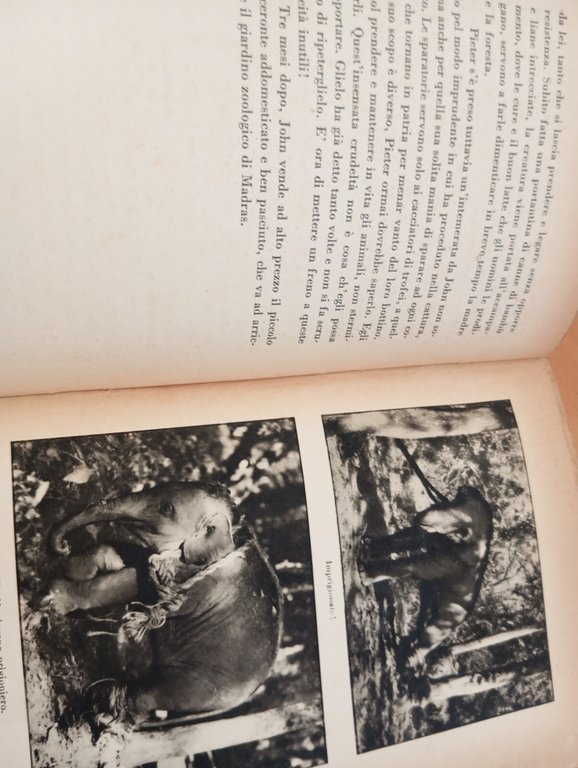 Caccia grossa con Hagenbeck, Wilhelm Munnecke, Editrice Genio, 1933