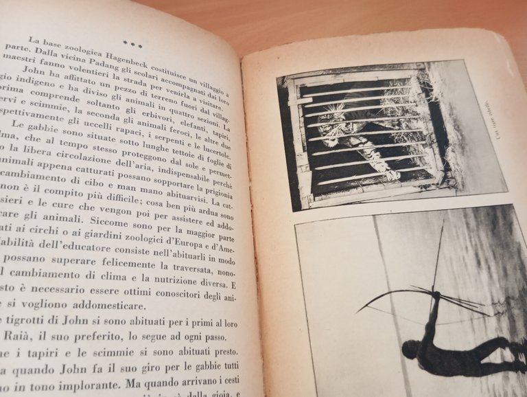 Caccia grossa con Hagenbeck, Wilhelm Munnecke, Editrice Genio, 1933