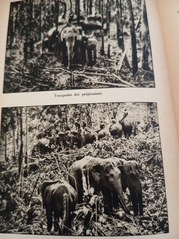 Caccia grossa con Hagenbeck, Wilhelm Munnecke, Editrice Genio, 1933