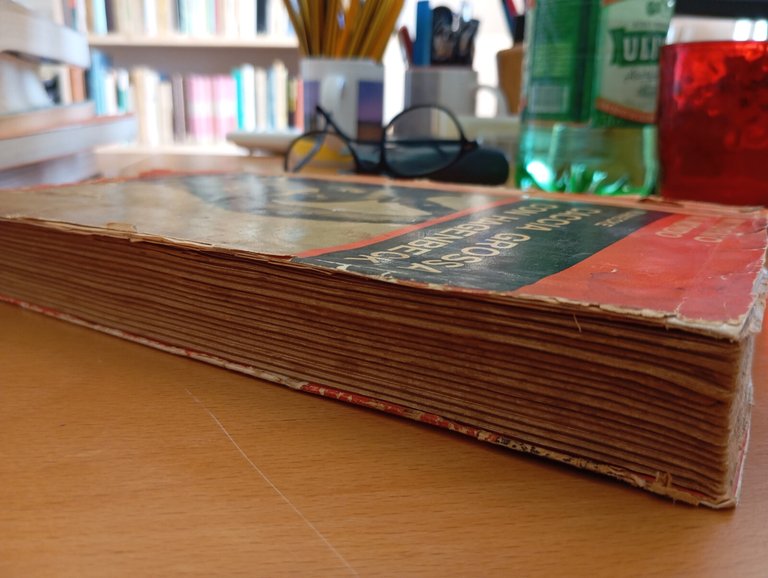 Caccia grossa con Hagenbeck, Wilhelm Munnecke, Editrice Genio, 1933