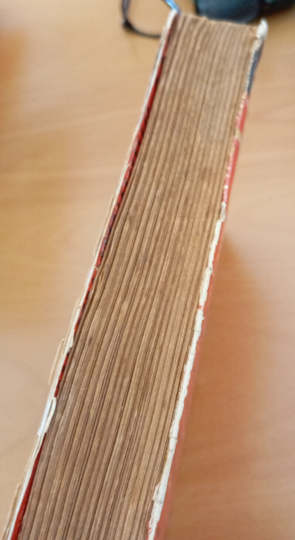 Caccia grossa con Hagenbeck, Wilhelm Munnecke, Editrice Genio, 1933