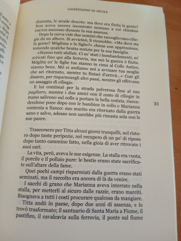 Calpestando le aiuole, Antonietta Tiberia, Edizioni Progetto Cultura, 2003 | Immagine Gallery 16
