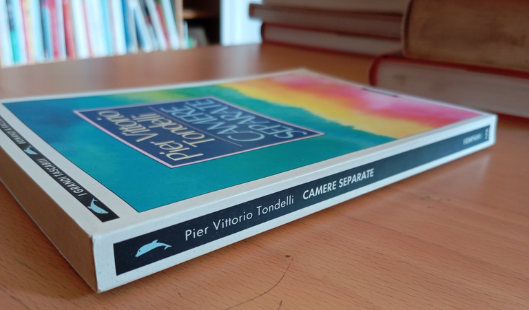 Camere separate, Pier Vittorio Tondelli, Bompiani, 1998 | Immagine Gallery 2