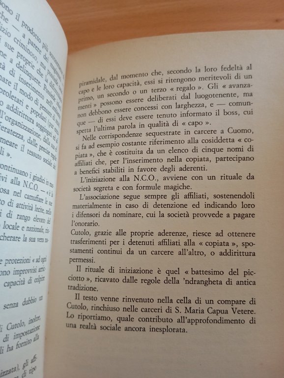 Camorra, Sergio De Gregorio, Società Editrice Napoletana, 1981 | Immagine Gallery 14