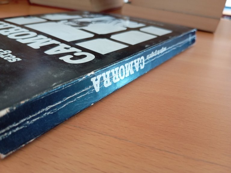 Camorra, Sergio De Gregorio, Società Editrice Napoletana, 1981 | Immagine Gallery 3