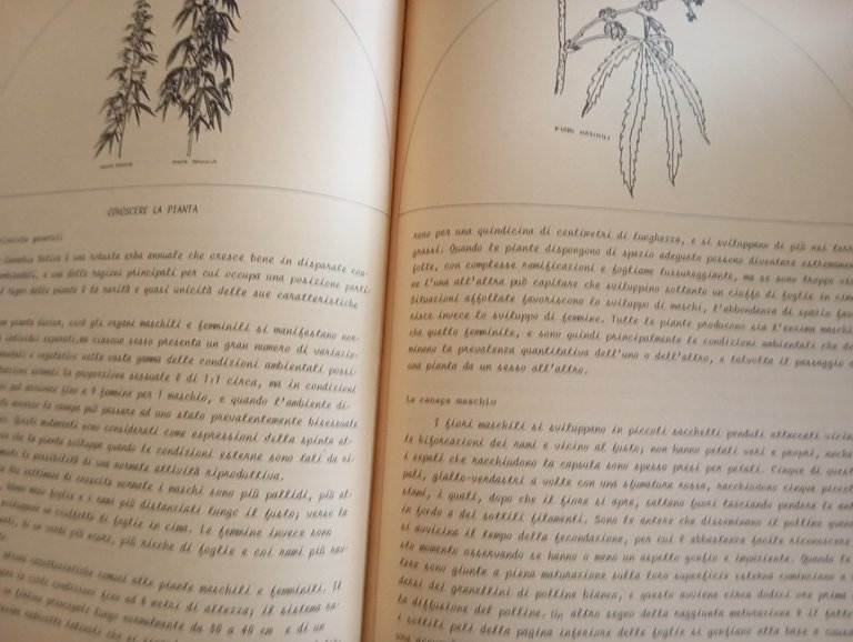 Campa cavallo che l'erba cresce, Luca Gerosa, Edizioni Re nudo, …