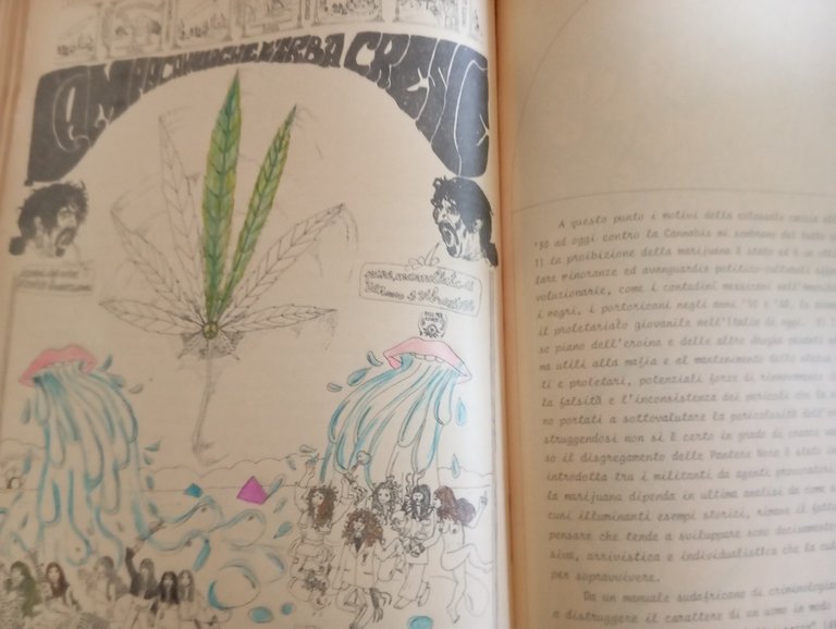 Campa cavallo che l'erba cresce, Luca Gerosa, Edizioni Re nudo, …