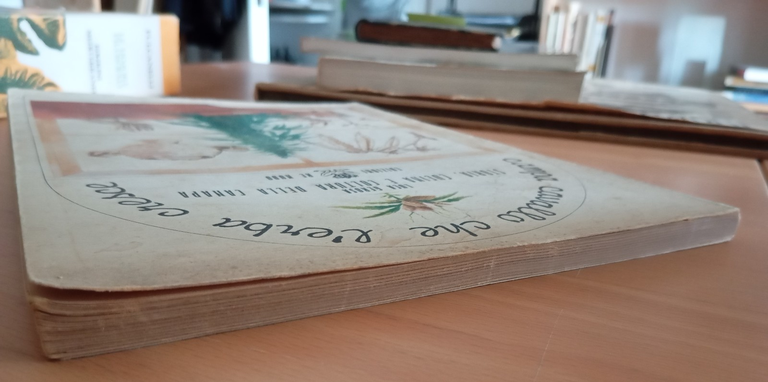 Campa cavallo che l'erba cresce, Luca Gerosa, Edizioni Re nudo, …