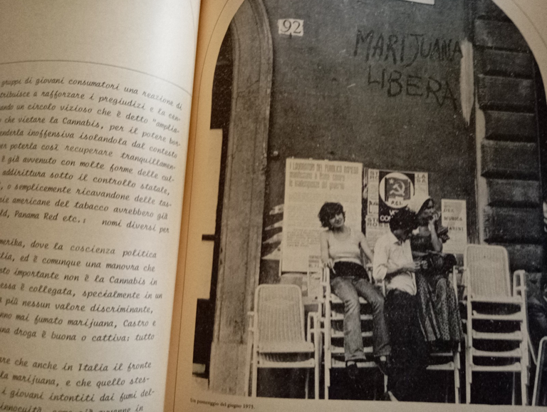 Campa cavallo che l'erba cresce, Luca Gerosa, Edizioni Re nudo, …