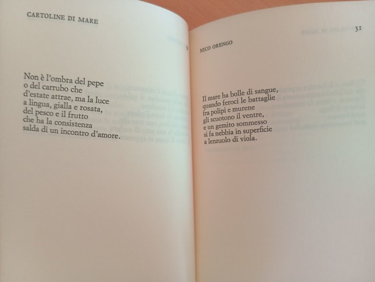 Cartoline di Mare, Nico Orengo, Einaudi, 1984