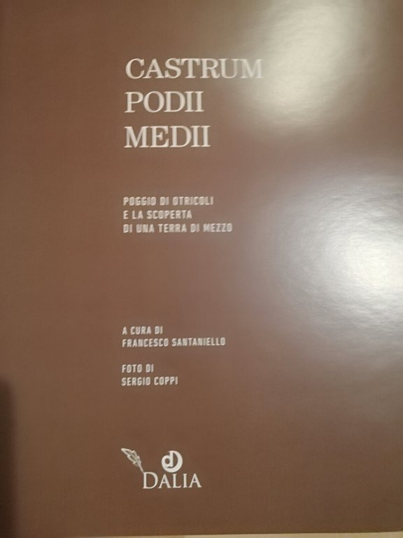 Castrum Podii medii. Poggio di Otricoli e la scoperta di …