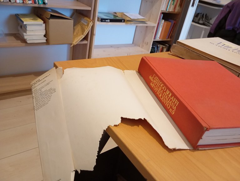 Catalogo Bolaffi della pittura italiana dell'Ottocento n. 9, 1980 | Immagine Gallery 16