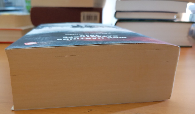 Catastrofe 1914. L'Europa in Guerra, Max Hastings, Neri Pozza, 2014 | Immagine Gallery 3