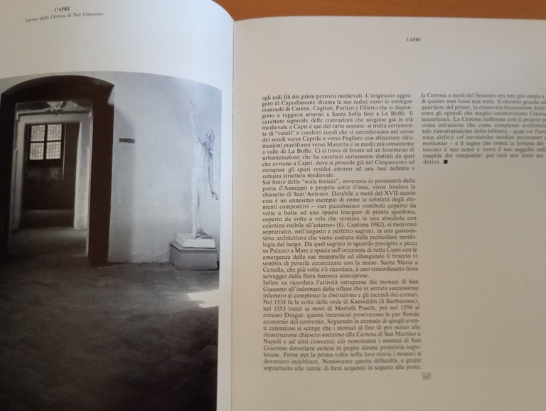 Luigi Ghirri, Mimmo Jodice, Capri, Cesare De Seta, ERI 1983, … | Immagine Gallery 13