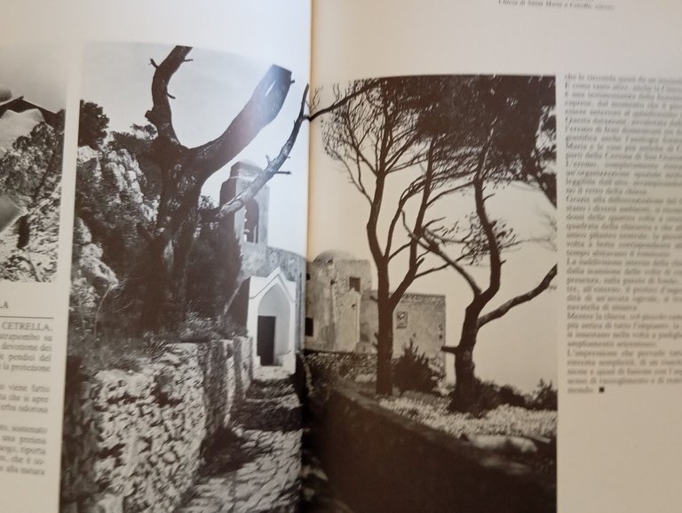 Luigi Ghirri, Mimmo Jodice, Capri, Cesare De Seta, ERI 1983, … | Immagine Gallery 16