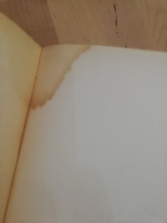 Cerchio magico. Biografia di Gertrude Stein, James R. Mellow, Garzanti, …