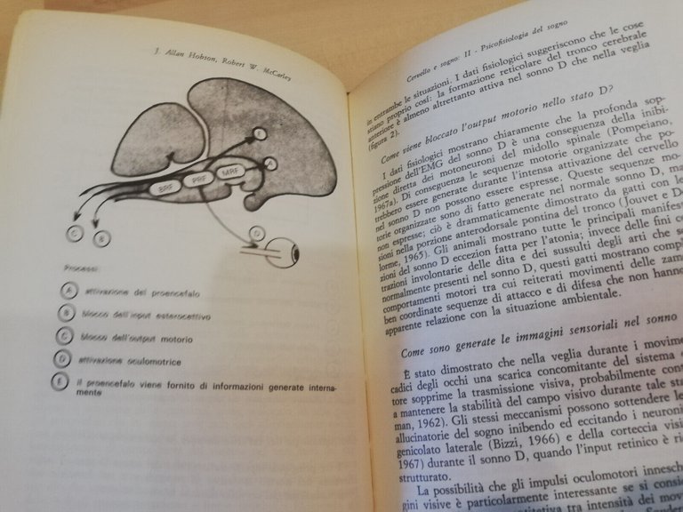 Cervello e sogno. Neurobiologia e psicologia, Bertini Violani, Feltrinelli, 1982