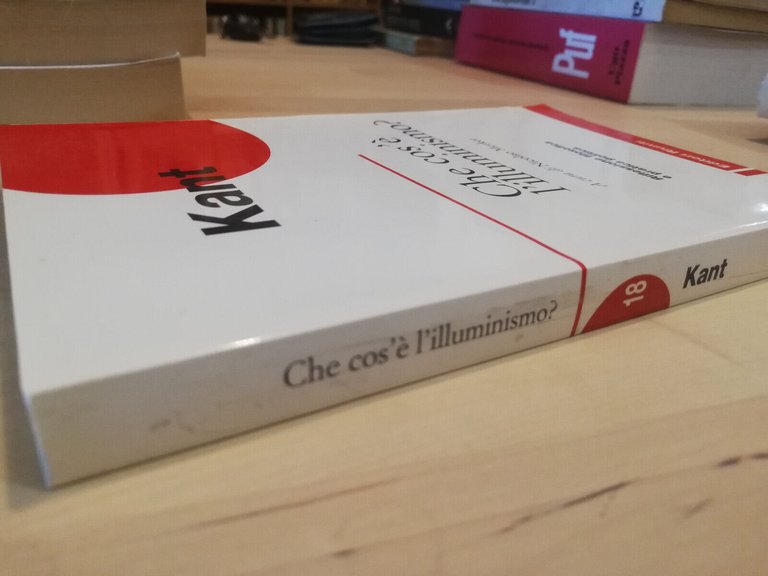 Che cos'è l'illuminismo? Immanuel Kant e altri, Editori Riuniti, 1997