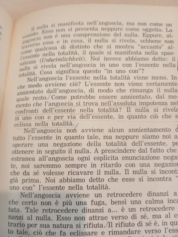 Che cos'è la metafisica, Martin Heidegger, Tullio Pironti, 1977, Prefaz. …