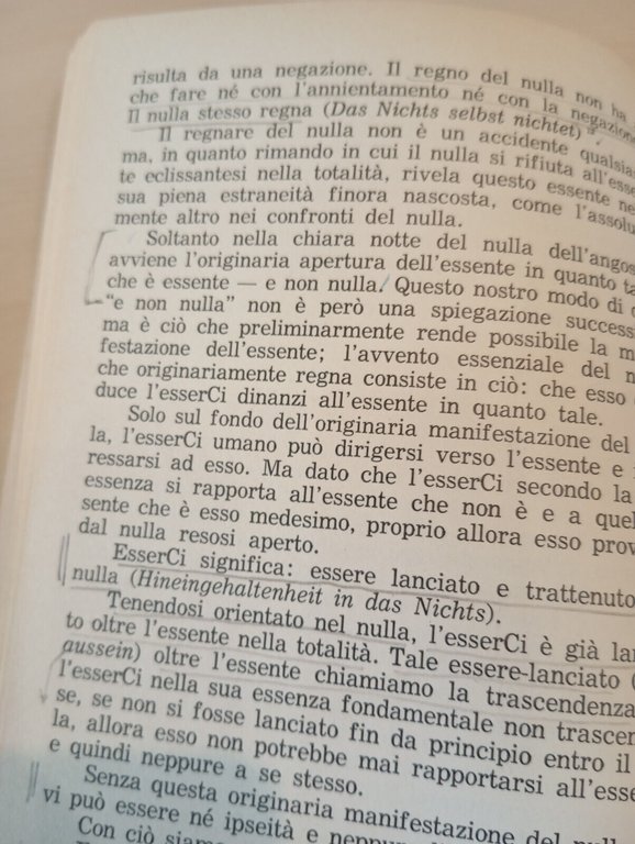 Che cos'è la metafisica, Martin Heidegger, Tullio Pironti, 1977, Prefaz. …