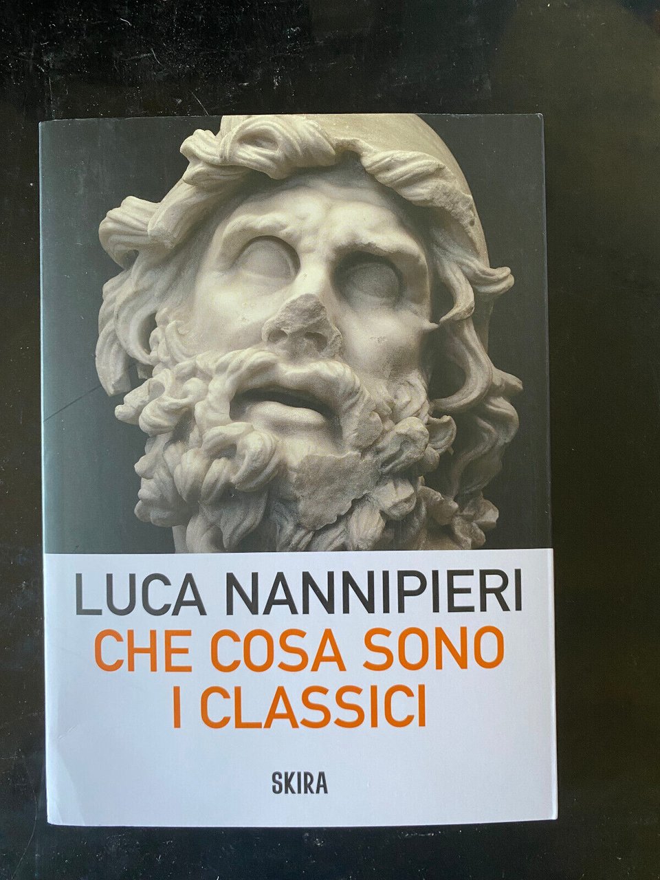 Che cosa sono i classici, Luca Nannipieri, 2024