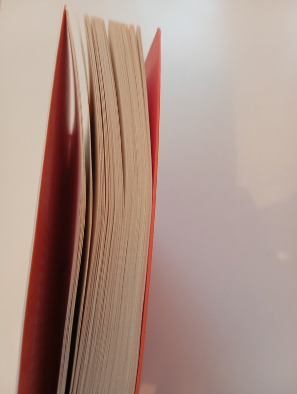 Che t'importa di cosa dice la gente? Richard P. Feynman, …