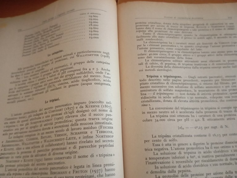 Chimica delle fermentazioni, U. Pratolongo, Hoepli, 1947, per collezionisti