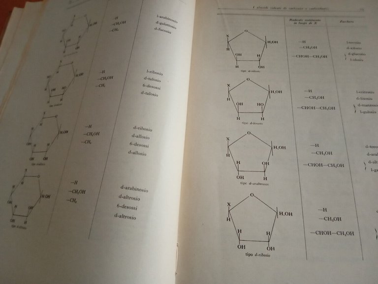 Chimica vegetale volume primo, Menozzi Pratolongo, Hoepli 1950 per collezionisti